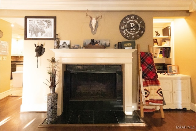 room details featuring hardwood / wood-style flooring and a fireplace