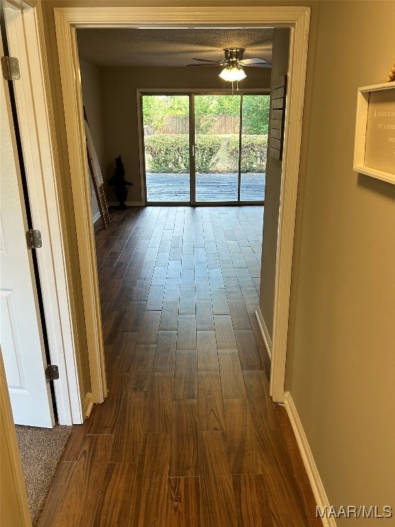 hallway featuring dark hardwood / wood-style flooring