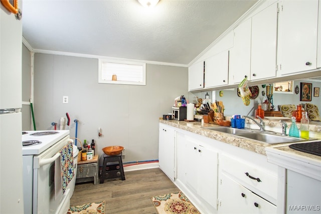 kitchen featuring wood-type flooring, white cabinets, sink, and white appliances