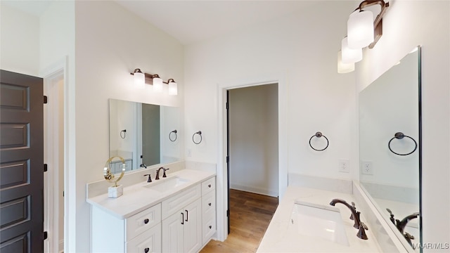 bathroom featuring wood-type flooring and vanity