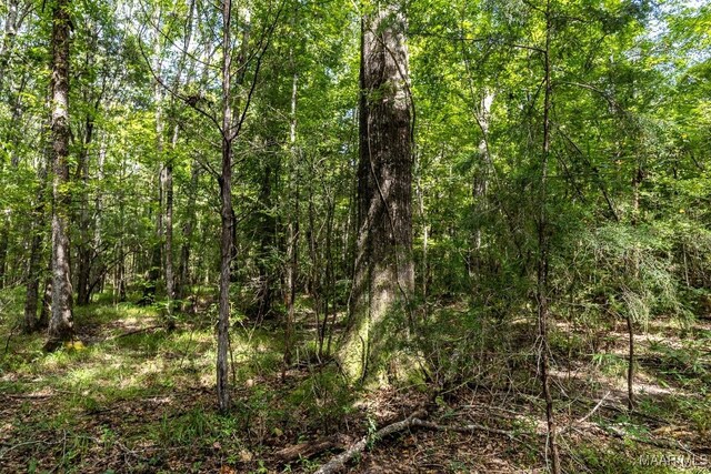 0 Mccloud Rd, Alberta, AL 36720