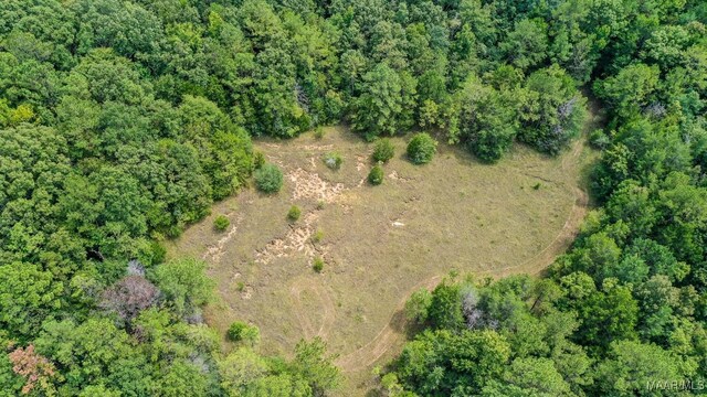 0 Mccloud Rd, Alberta, AL 36720