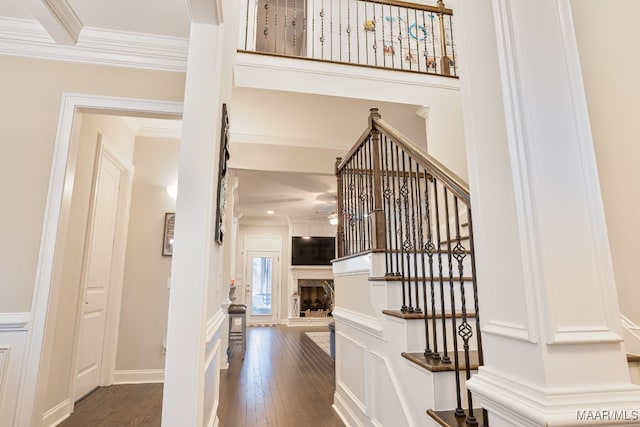 interior space with crown molding, ceiling fan, and hardwood / wood-style flooring