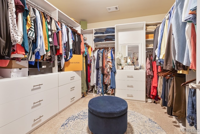 view of spacious closet