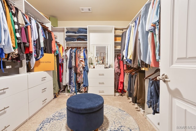 view of walk in closet