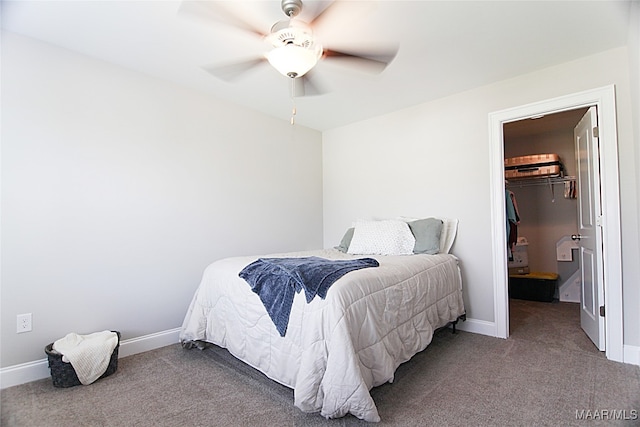 bedroom with carpet flooring, a spacious closet, ceiling fan, and a closet