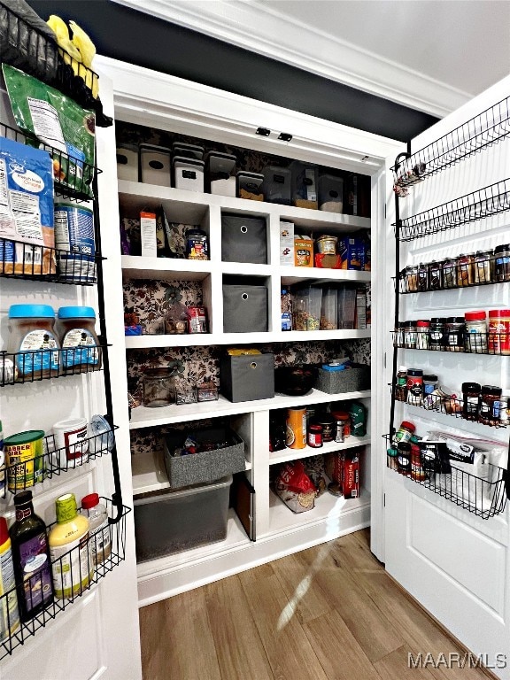 view of pantry