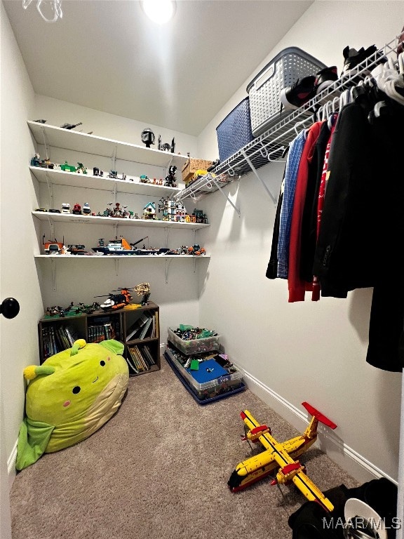 spacious closet with carpet