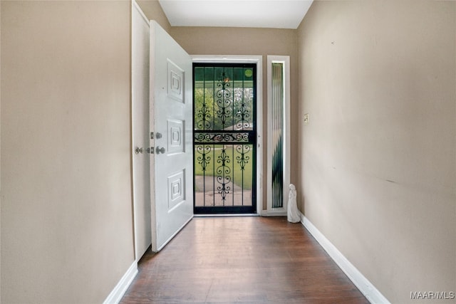 entryway featuring hardwood / wood-style floors