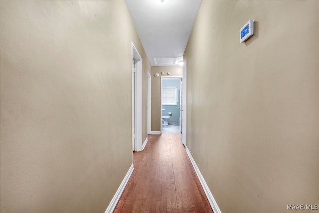 hallway with hardwood / wood-style floors