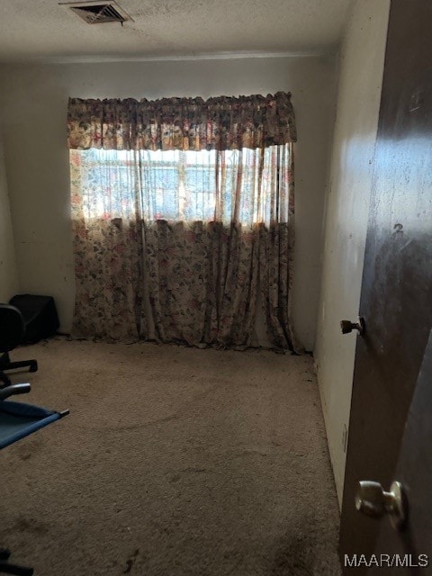 carpeted empty room with a textured ceiling