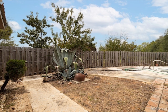 view of yard with a patio area