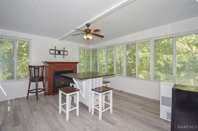 interior space featuring ceiling fan and a healthy amount of sunlight