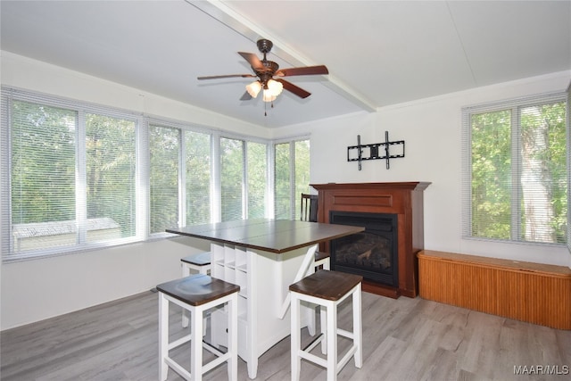 dining room featuring ceiling fan and light hardwood / wood-style floors