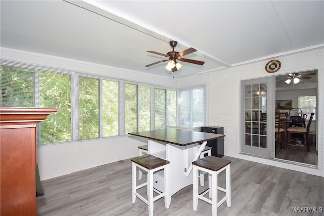 dining area with ceiling fan and hardwood / wood-style flooring