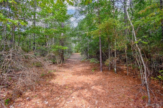 view of local wilderness