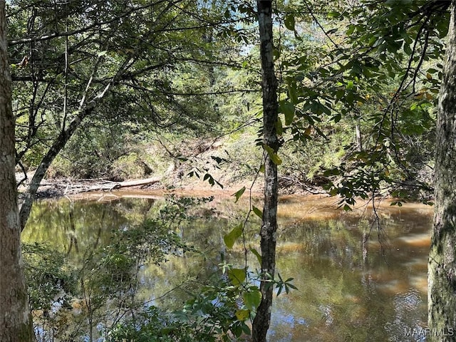 414 Warrior Dr, Valley Grande, AL 36701 - water view featuring a heavily wooded area