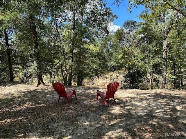 414 Warrior Dr, Valley Grande, AL 36701 - view of yard