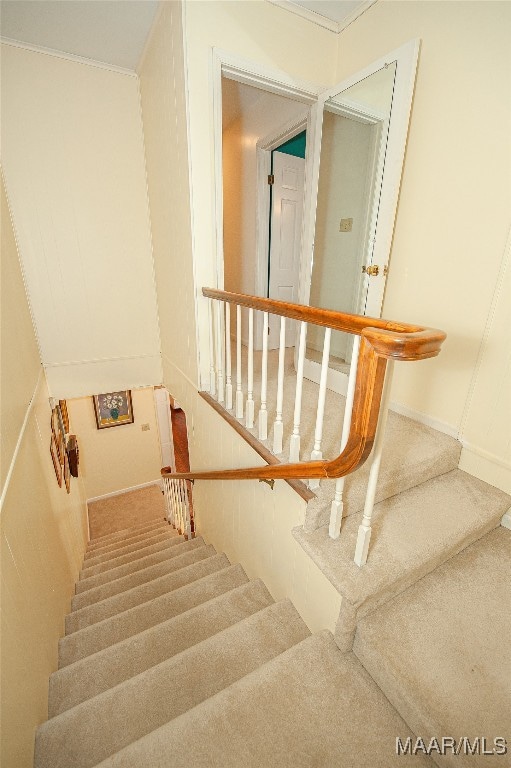 staircase featuring carpet flooring