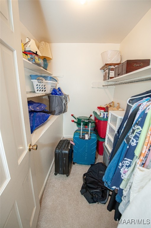 spacious closet with carpet floors