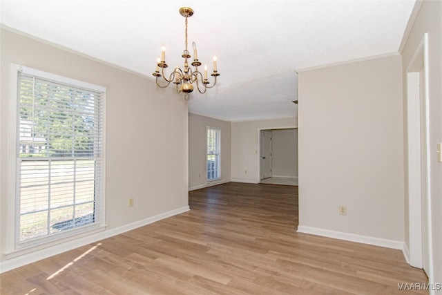 spare room with plenty of natural light and light hardwood / wood-style floors