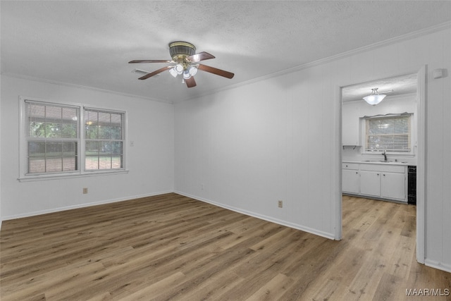 spare room featuring ceiling fan, ornamental molding, sink, a textured ceiling, and light wood-type flooring