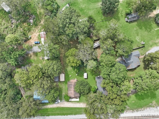 bird's eye view