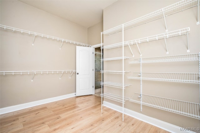 walk in closet featuring hardwood / wood-style flooring