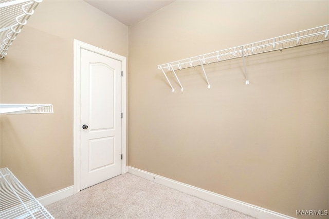 walk in closet featuring carpet floors