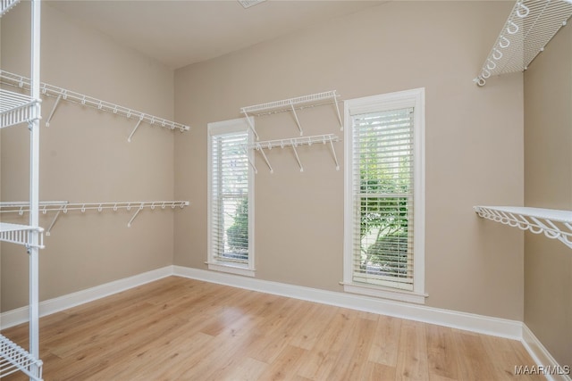 walk in closet with wood-type flooring