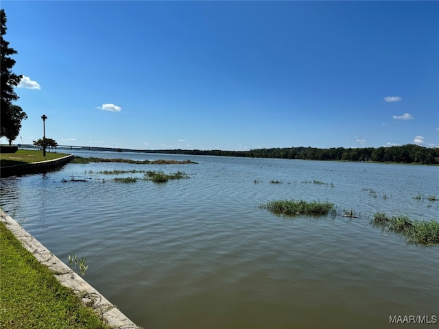 view of water feature