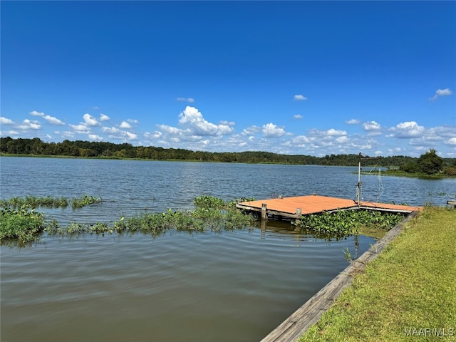 dock area with a water view