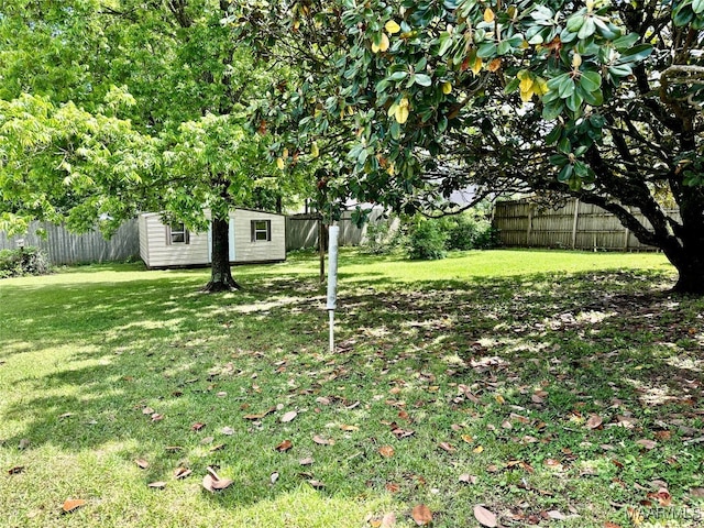 view of yard with a storage unit