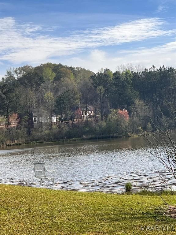 551 Butter And Egg Rd, Troy, AL 36081 - water view