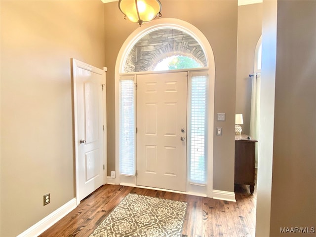 foyer with wood-type flooring