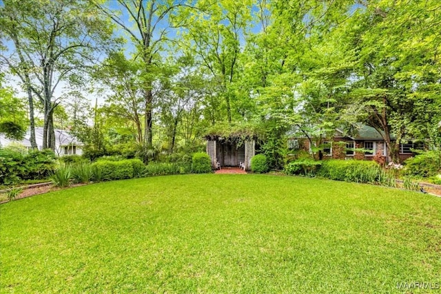 1311 Woodward Ave, Montgomery, AL 36106 - view of green lawn