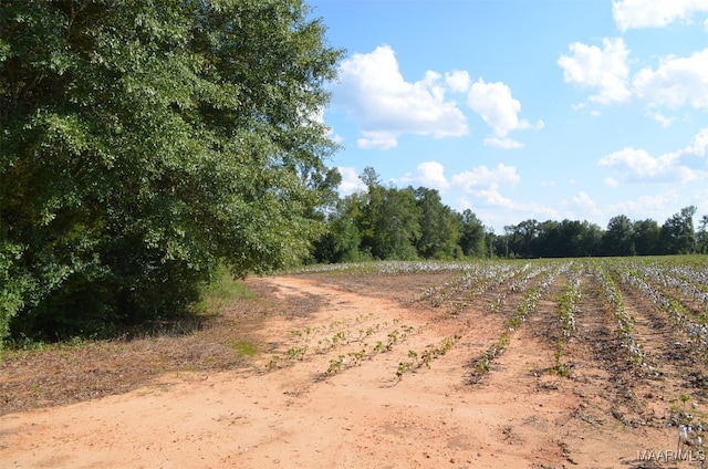 00 County Road 79, Autaugaville AL, 36067 land for sale