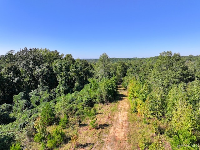 0 Neighbors Rd, Alexander City AL, 35010 land for sale