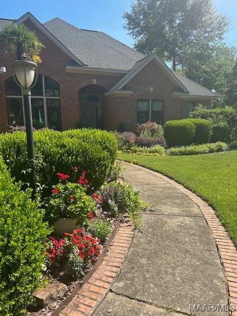 view of front of house featuring a front yard