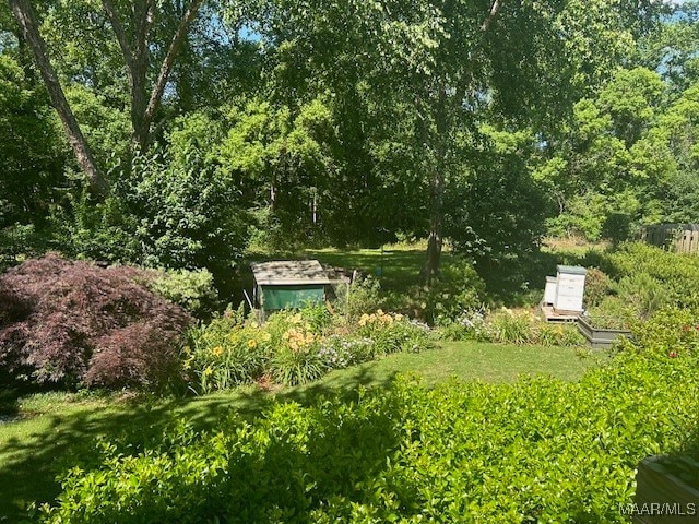 view of property's community featuring a yard