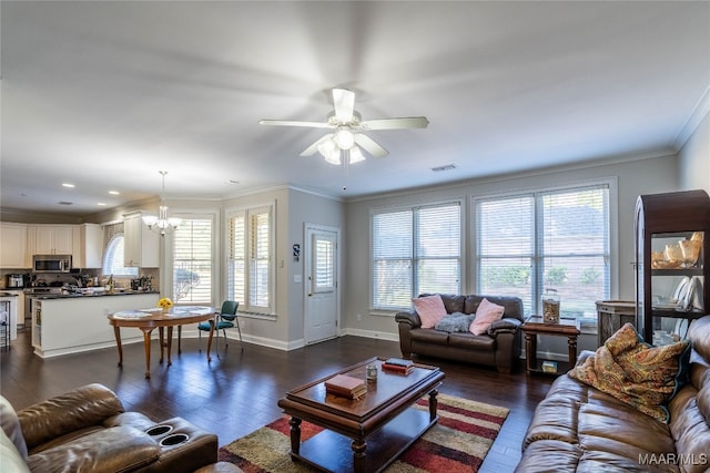 living room with crown molding, dark wood-type flooring, and ceiling fan with notable chandelier