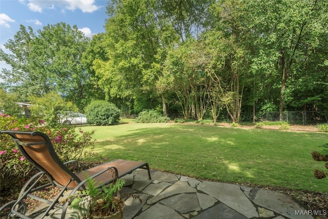 view of yard featuring a patio