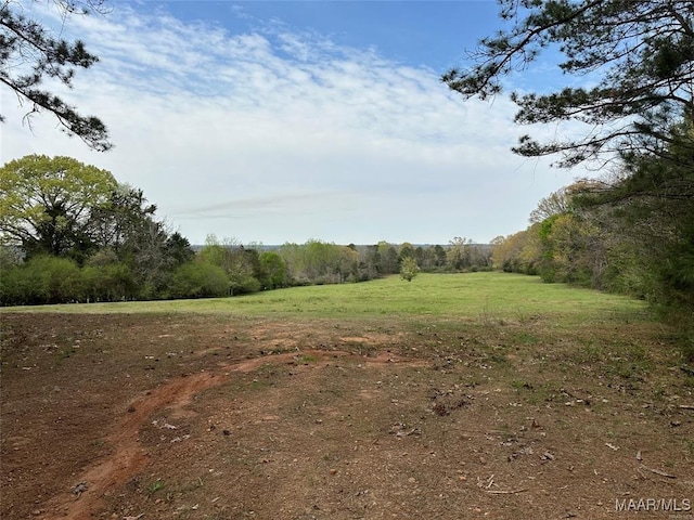 LOT4 County Road 59, Deatsville AL, 36067 land for sale