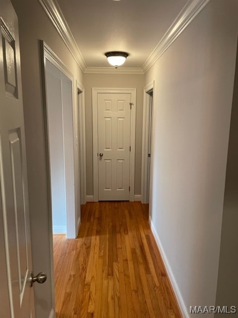 corridor featuring wood-type flooring and crown molding