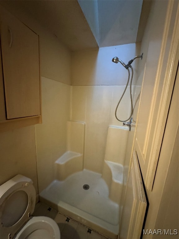 bathroom with toilet and a shower