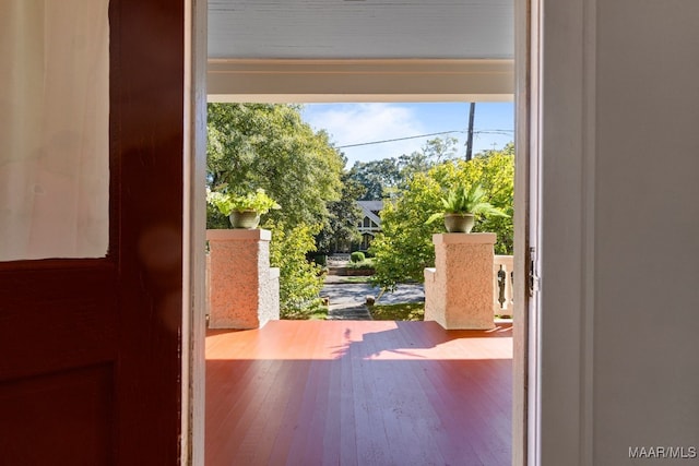 entryway with hardwood / wood-style floors