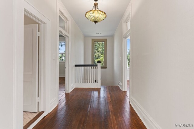 doorway with dark hardwood / wood-style floors