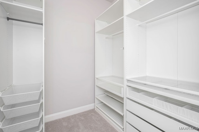 spacious closet with light colored carpet