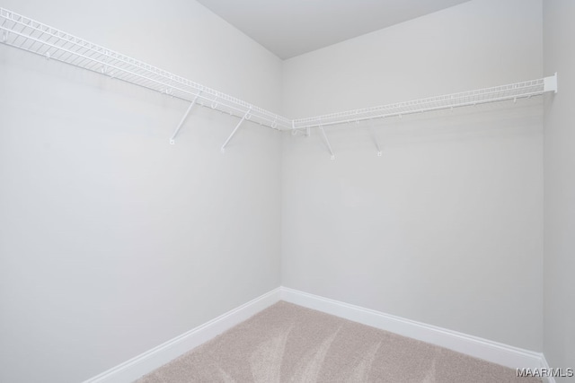 walk in closet with carpet