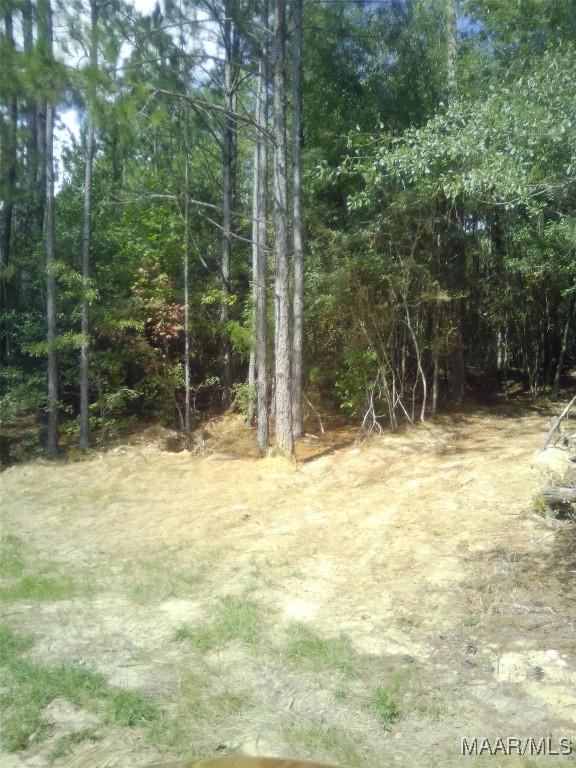 LOT17 Lakeshore Dr, Tuskegee, AL 36083 - photo 1